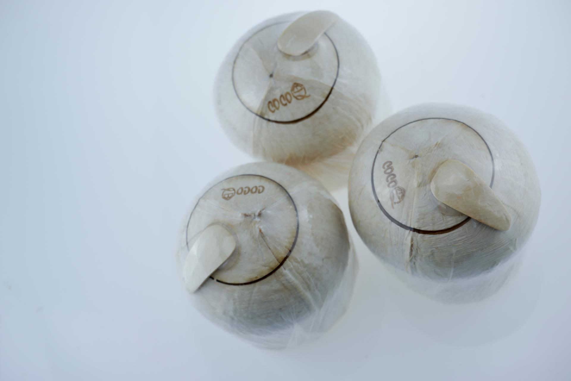 The image shows three packaged coconuts arranged on a white surface. Each coconut is wrapped in clear plastic and has a wooden handle attached.