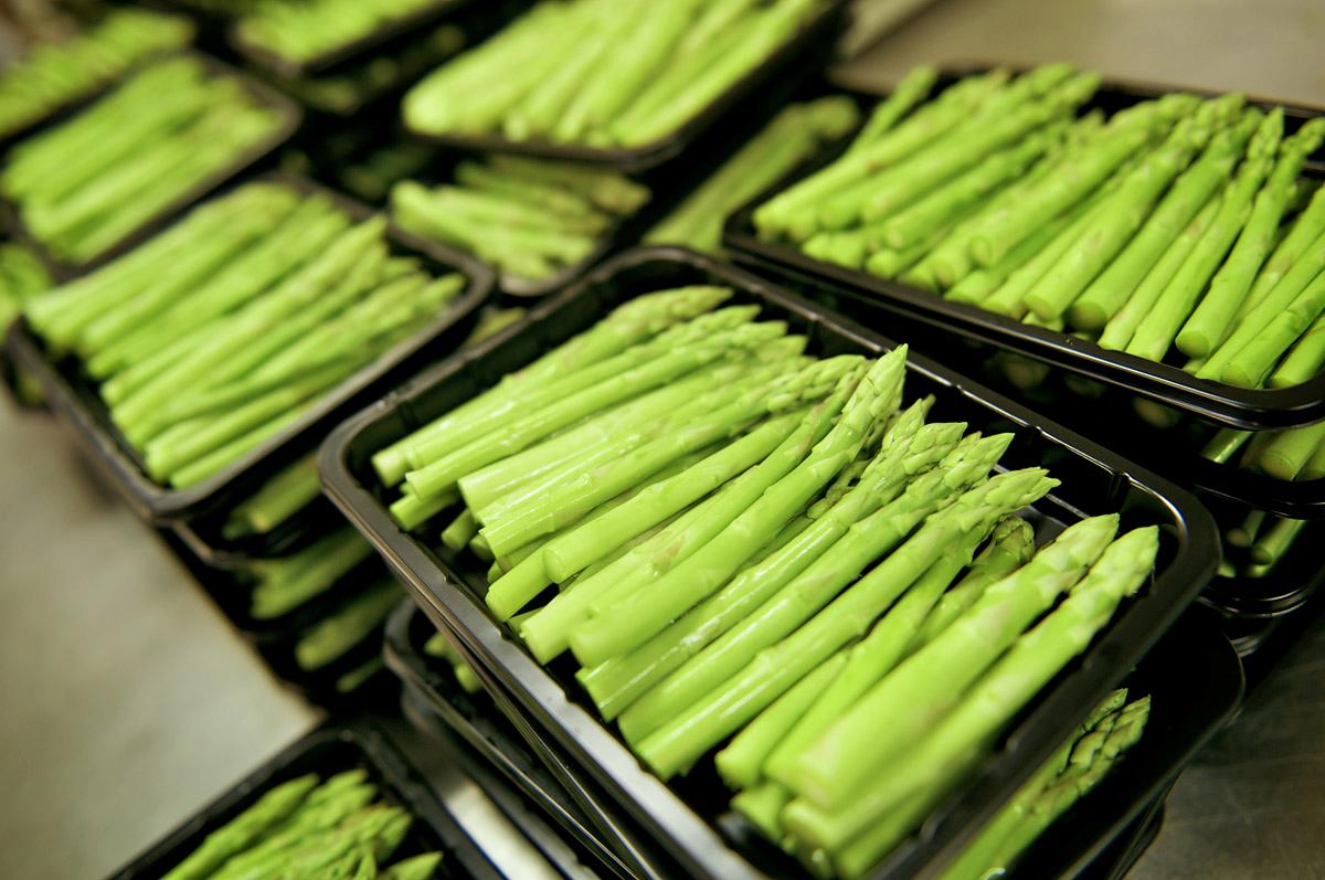 The image shows multiple black trays filled with fresh, green asparagus. The asparagus is neatly arranged in the trays.