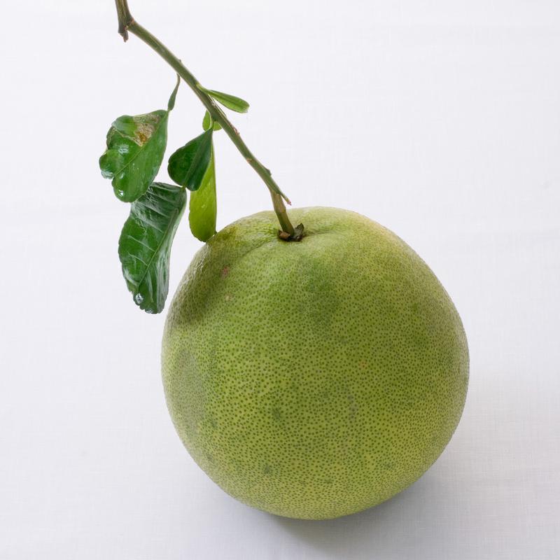 photo of - pomelo
