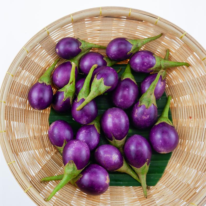photo of - purple eggplant