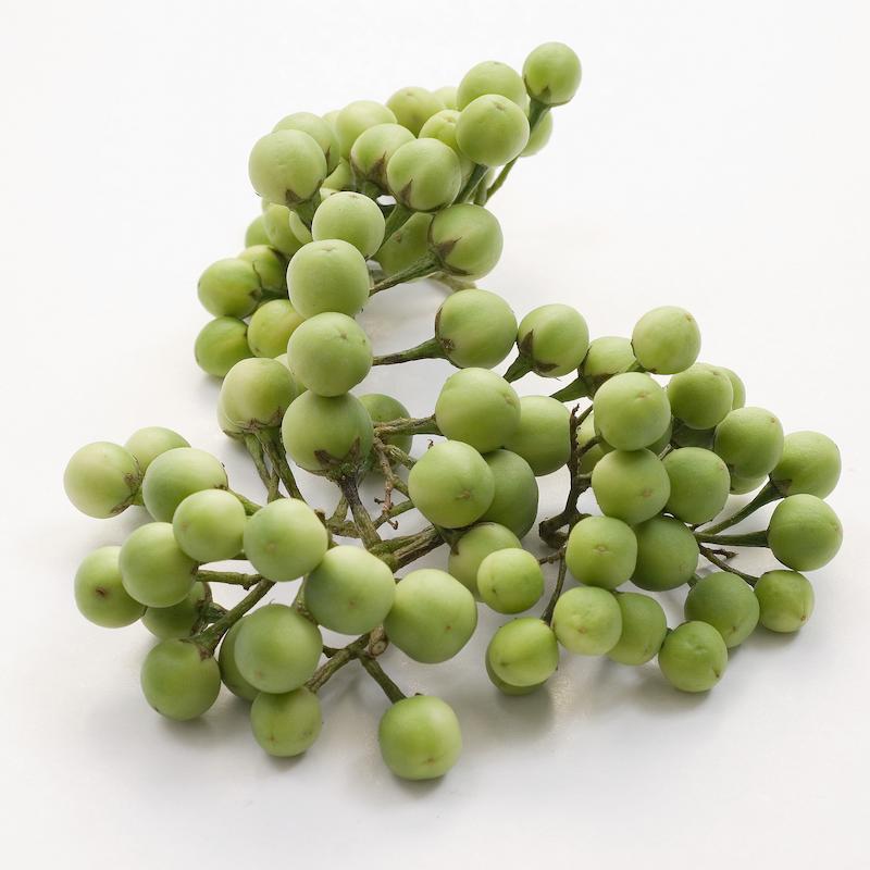 photo of - small eggplant