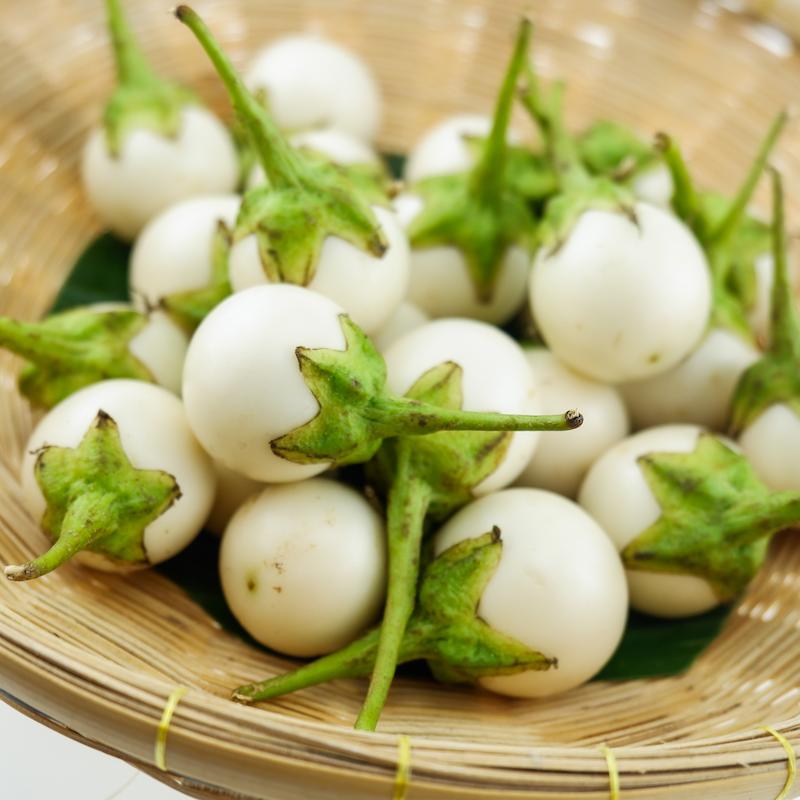 photo of - white eggplant