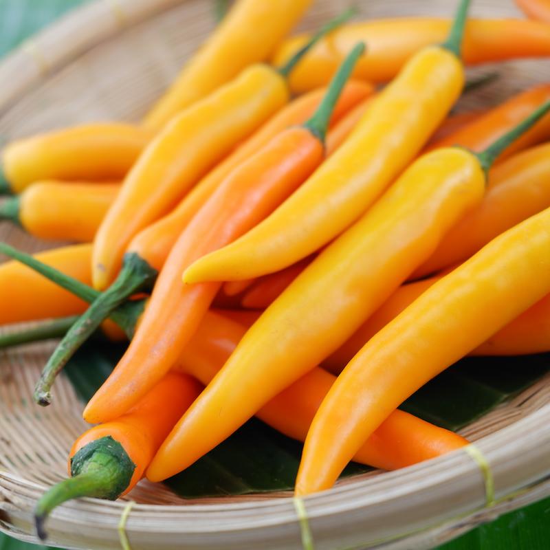 photo of - yellow chili